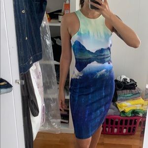 Beyoncé x H&M dress